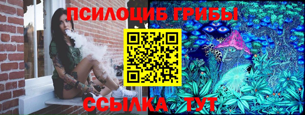 Вышний Волочёк  Галлюциногенные грибы MAGIC MUSHROOMS  Вход с VPN 